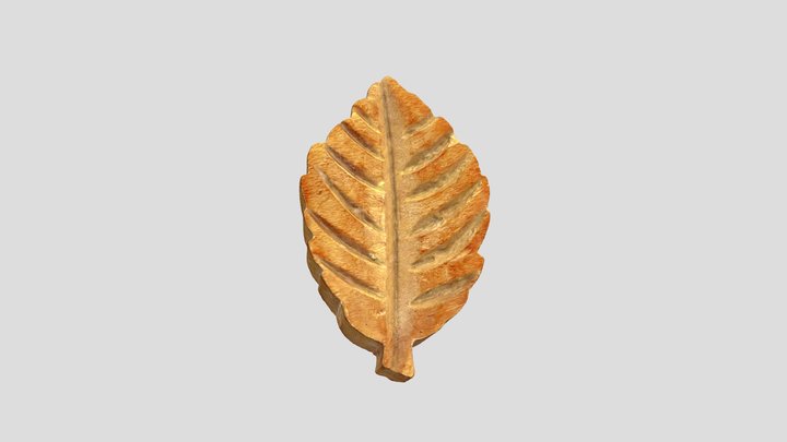 Wood Cherry Leaf 3D Model