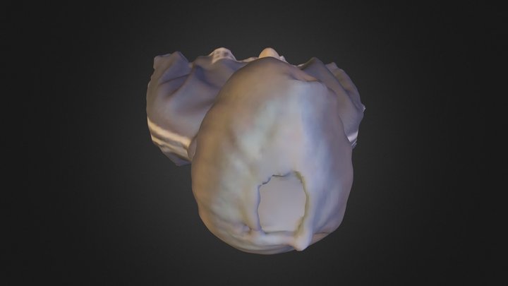 Erwin Ferrage 3D Model