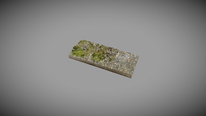 Mossy Stone Brick 3D Model