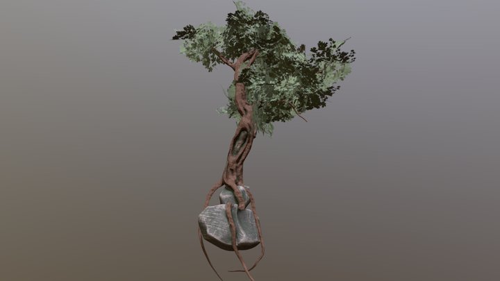 TreeRock_Heaj_2019 3D Model