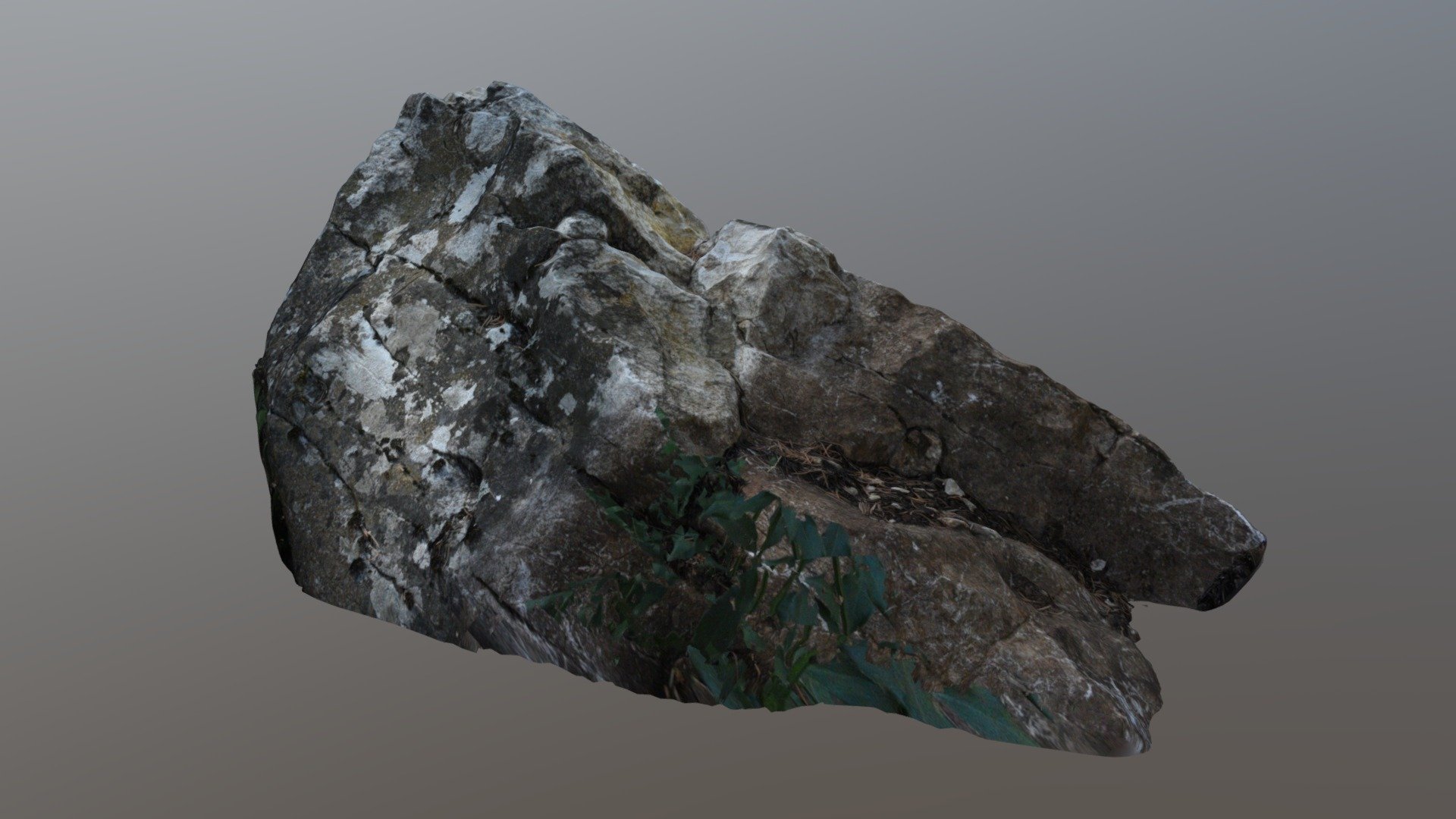 190821_cedar_forest_rock_02
