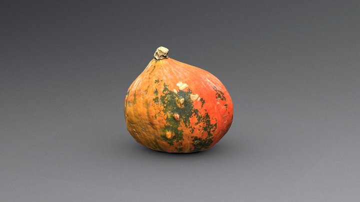 Hokaido Pumpkin 3D Model