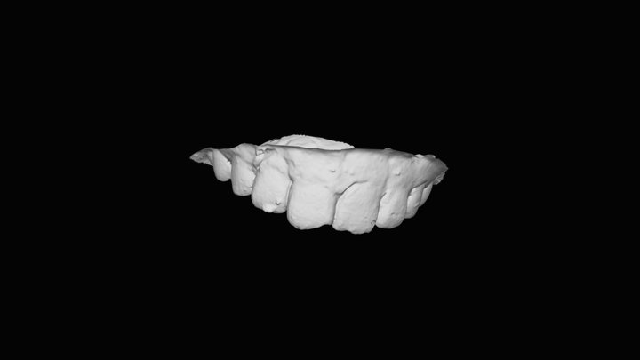 Upper teeth – Free 3D Model STL
