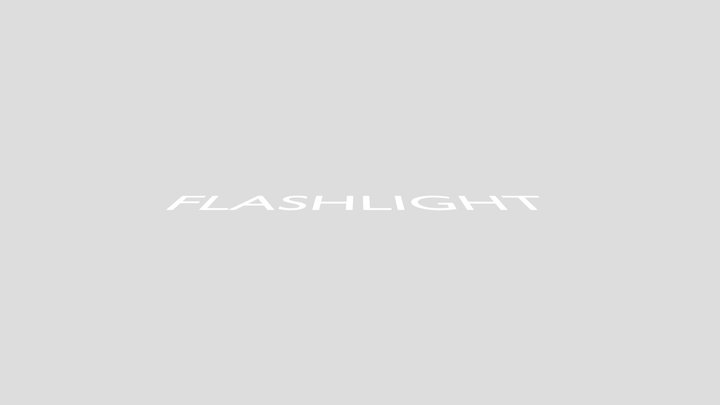 Flashlight texxt for gorilla tag fangames! 3D Model