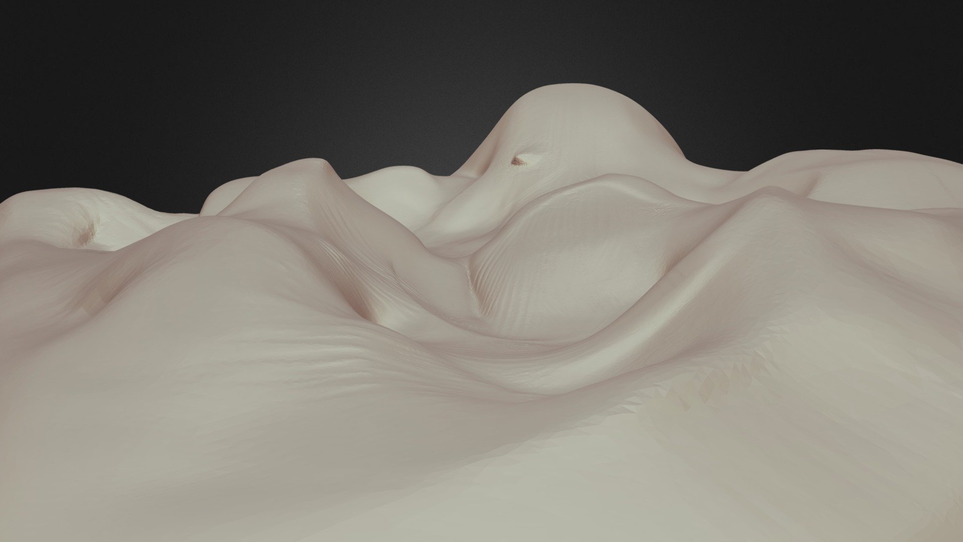 SculptJanuary 04 | Desert