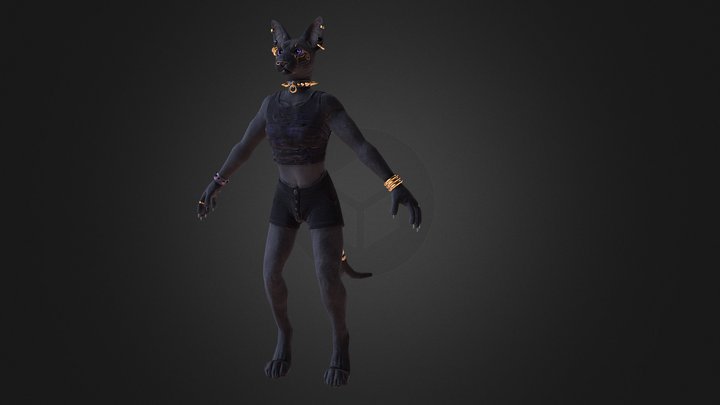 Anthro Sphynx 3D Model