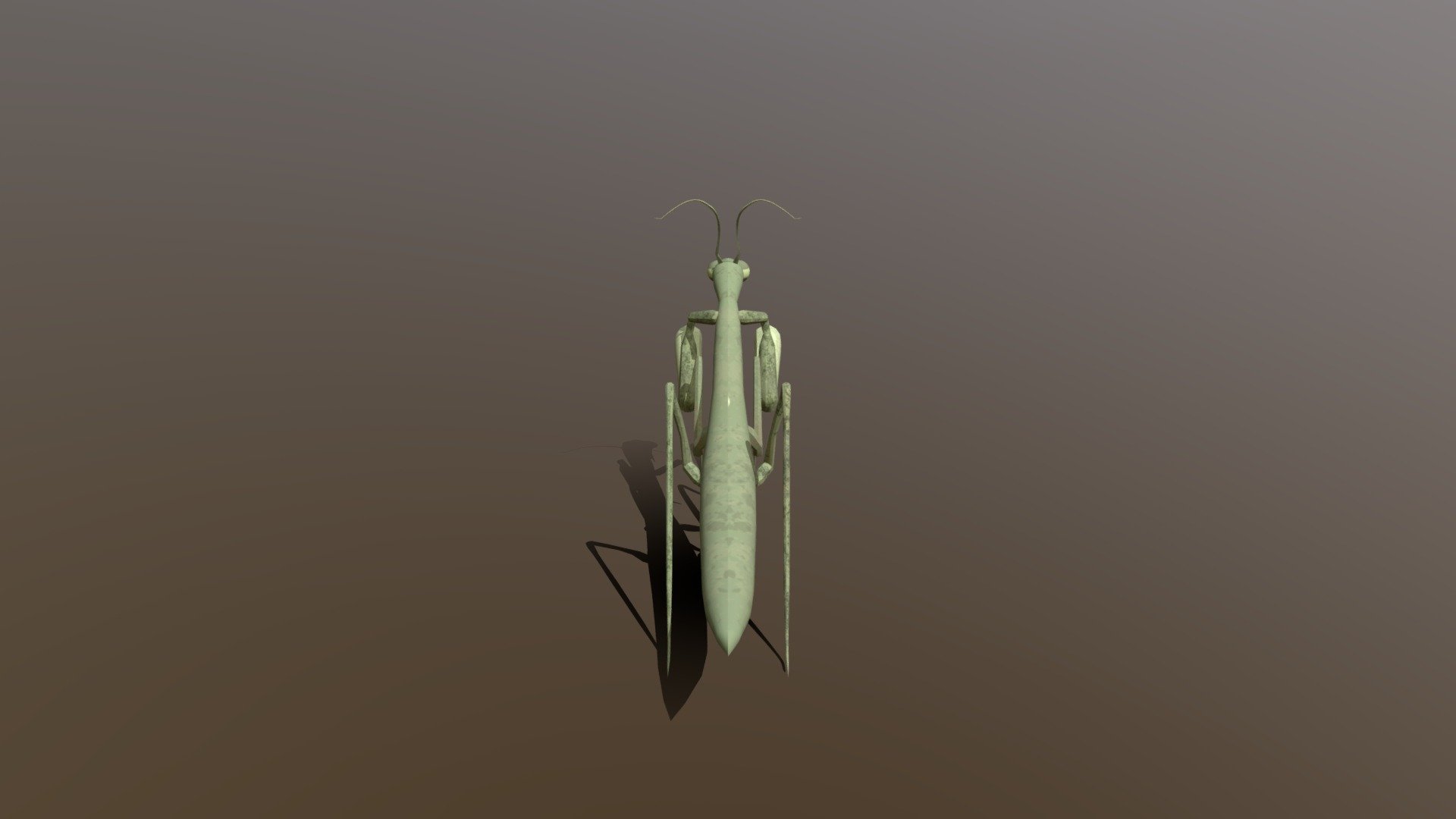 Mantis Model 3D Model By KWild 39f1663 Sketchfab   Eb369af9f88d43f2a2cdce3ccb50ad0e 