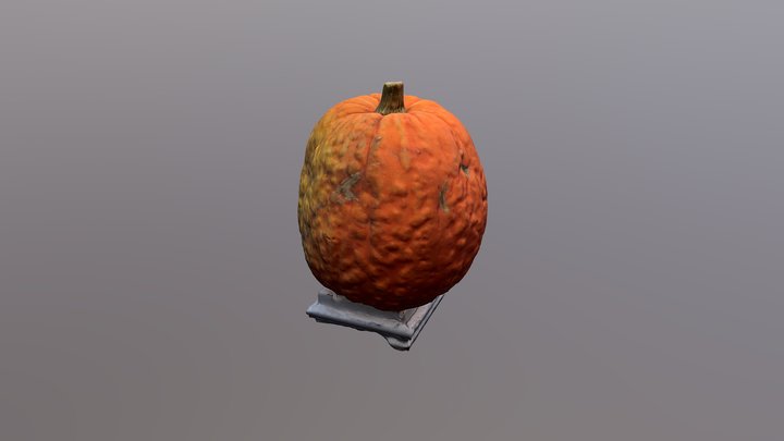 Pumpkin 3D Model