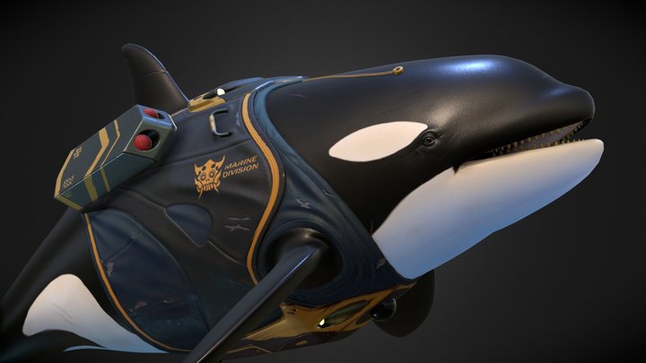 Orca 3D Model
