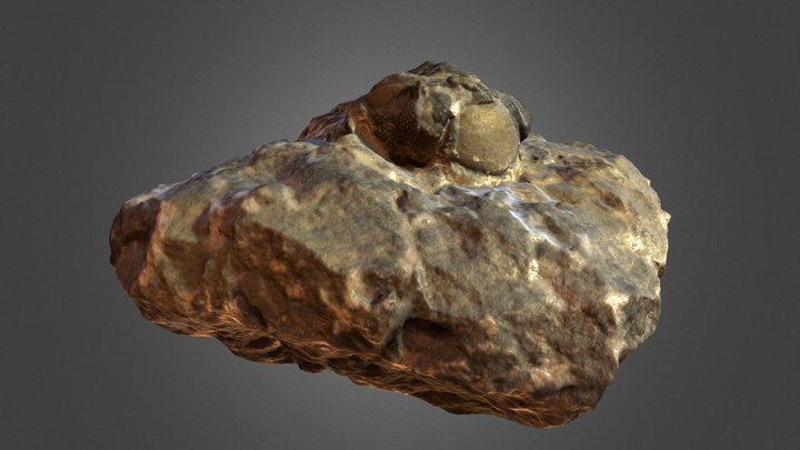 Piedra fósil 6x6x3'5 cm. 3D Model