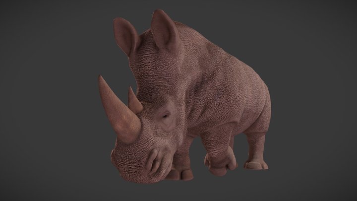 RHINO 3D Model