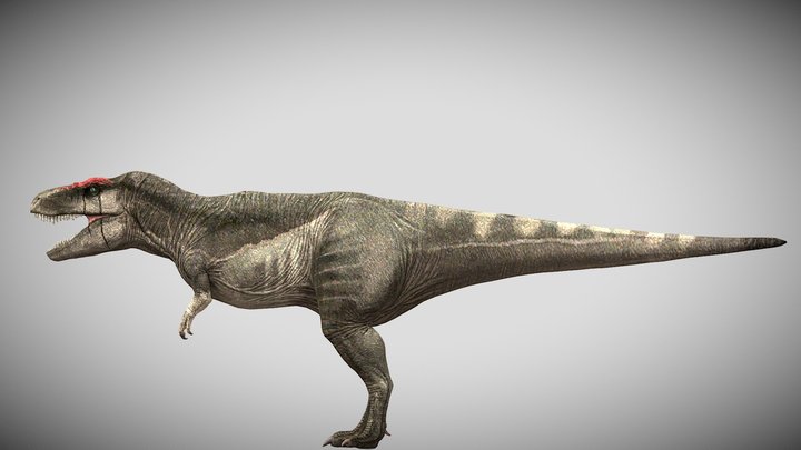 JP:OG Carcharodontosaurus – Modelo 3D gratuito STL