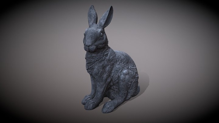 HASE - RABBIT 3D Model