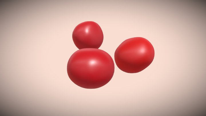 Spherocytes 3D Model