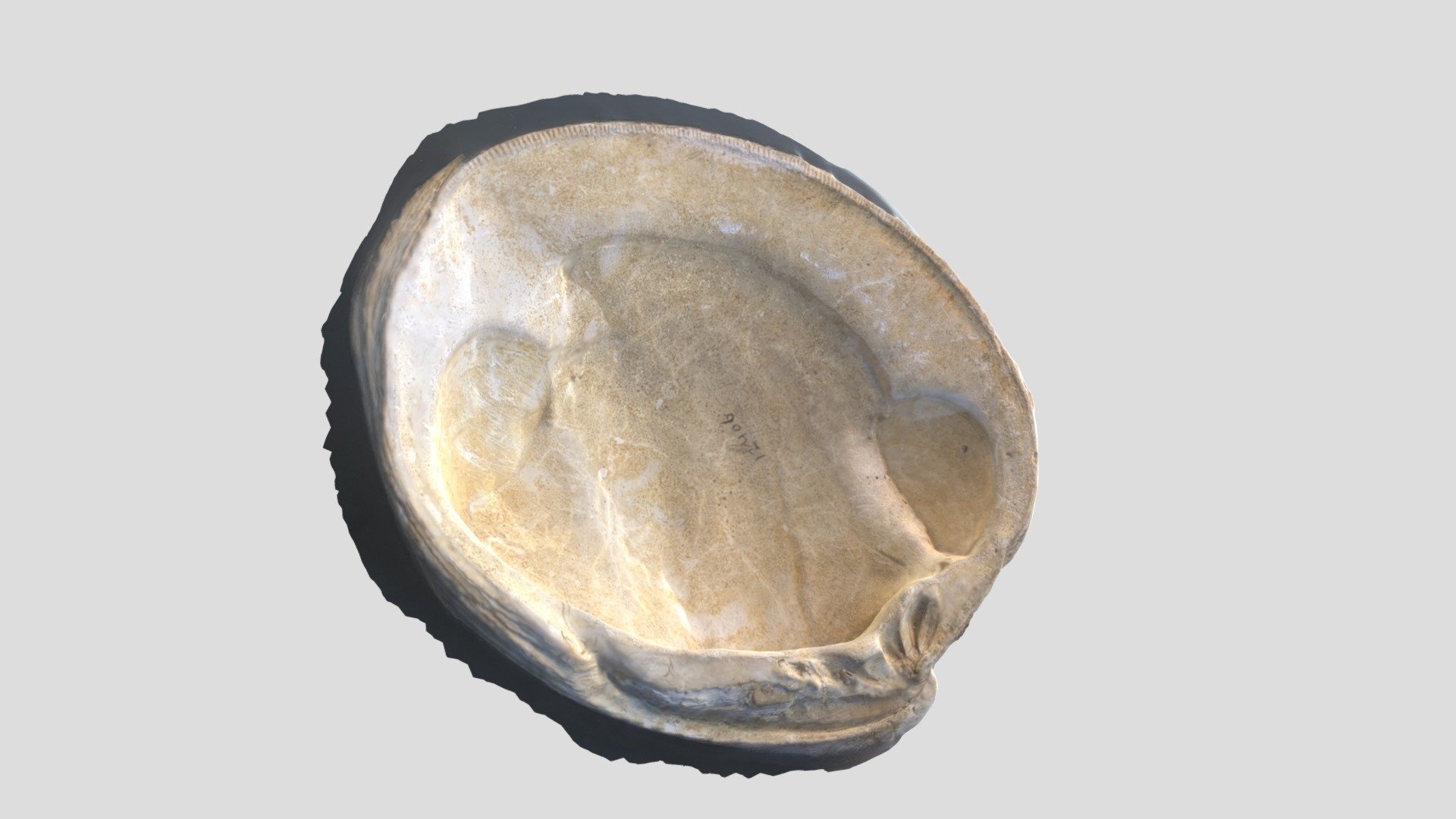 fossil 1 utama