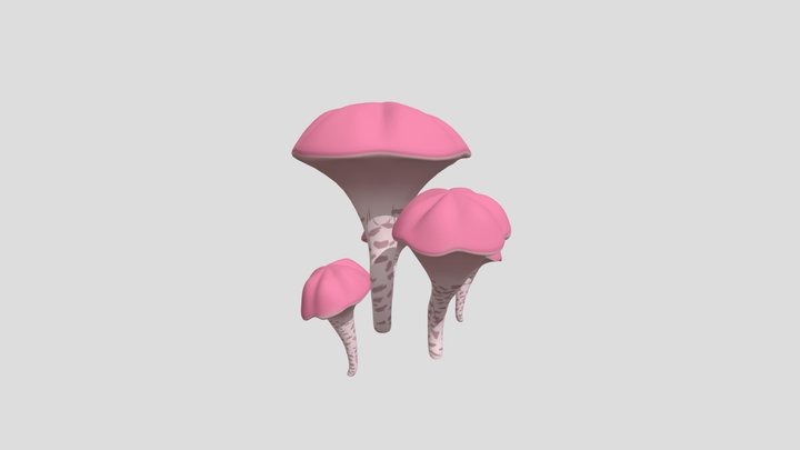 Pink Cushion 3D Model