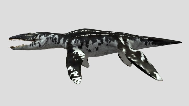 Walking with Dinosaurs Liopleurodon 3D Model