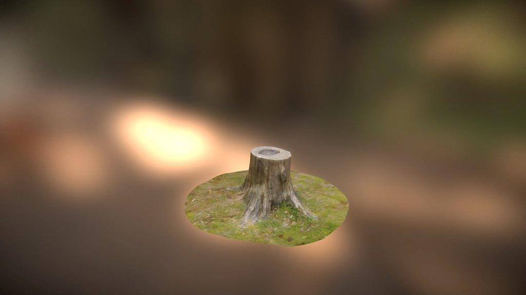 Photogrammetry - Tree Stump 01 - 3D model by Gero.Helmreich [3a0e631 ...