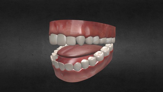 Teeth 3D Model