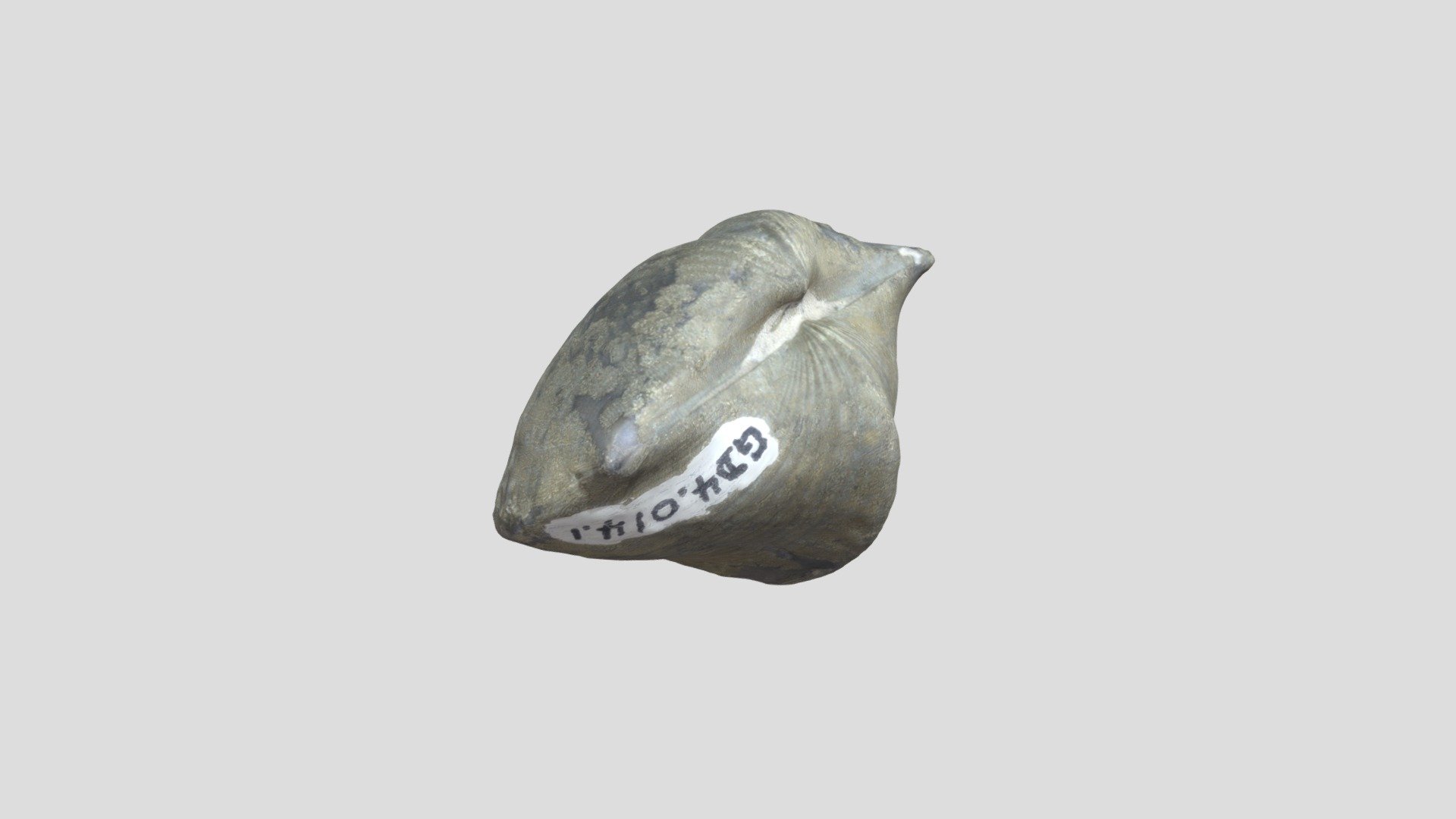 fossil3