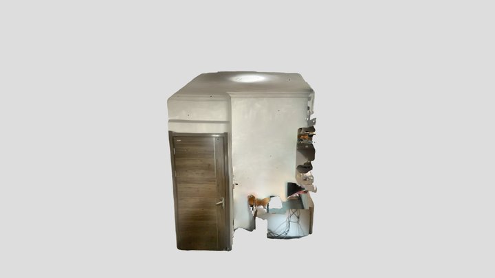 Untitled Scan 3D Model