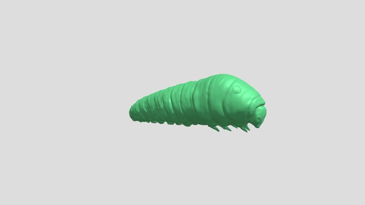 Caterpillar 3D Model