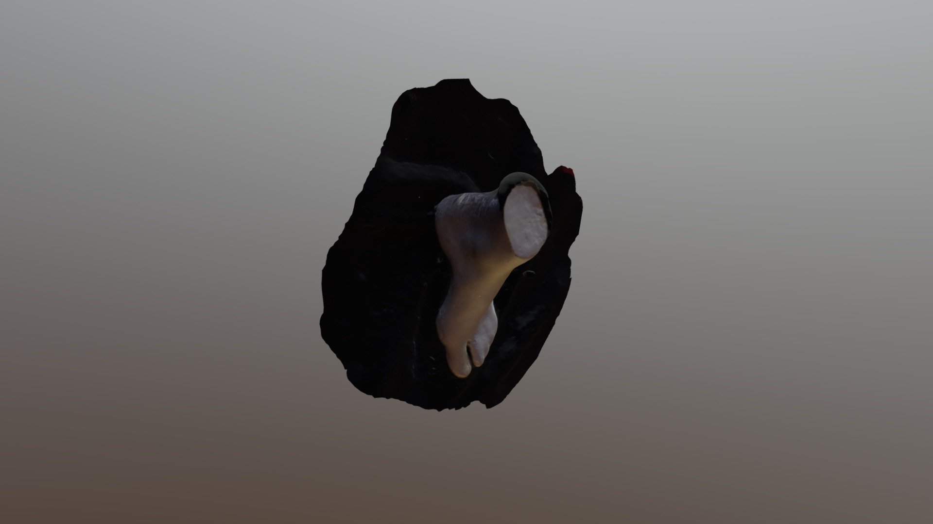 foot2 - Download Free 3D model by f.r4nc3s [3a11fcc] - Sketchfab