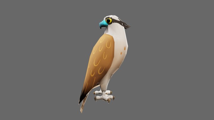 Handpainted Hawk 3D Model