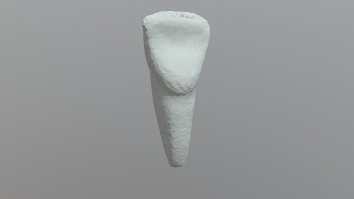 Tooth 9 Upper2 3D Model