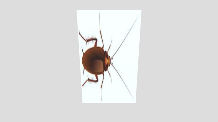 Cockroach Pest Control +9192892 84931 3D Model