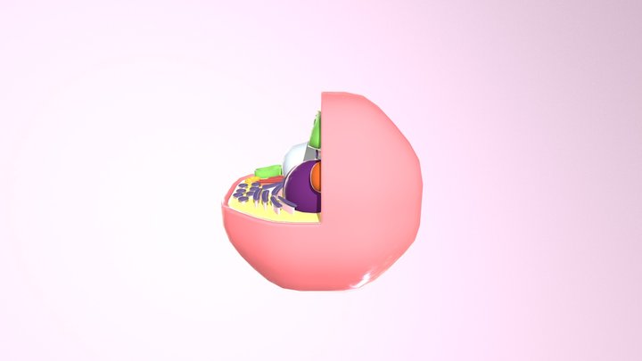 plant cell 3D Model