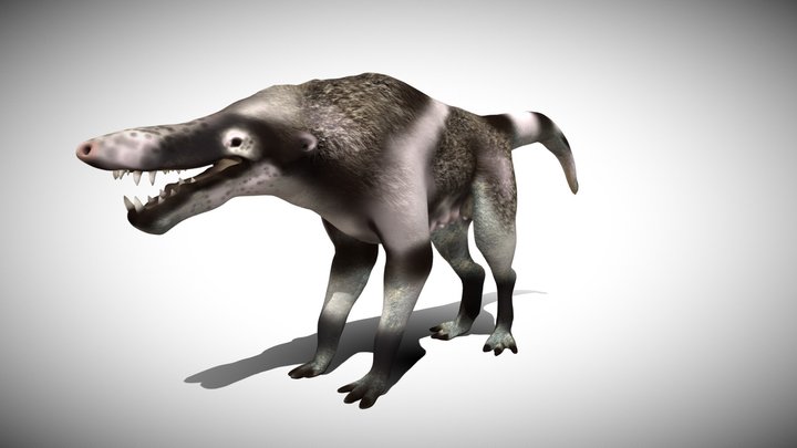 Andrewsarchus female