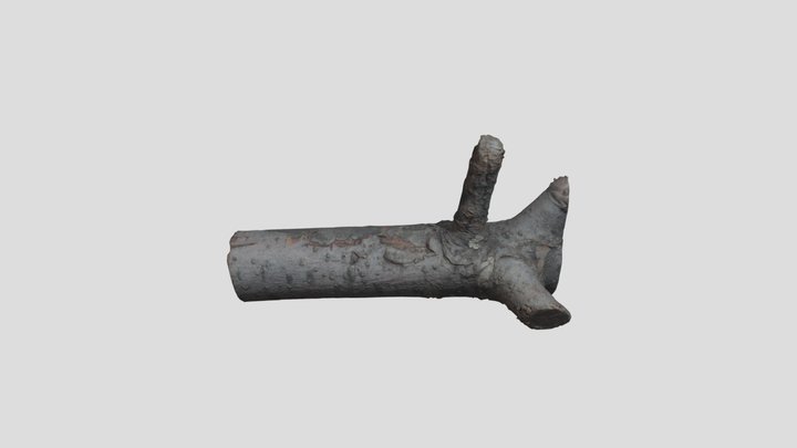 Firewood Scan – Modèle 3D gratuit STL