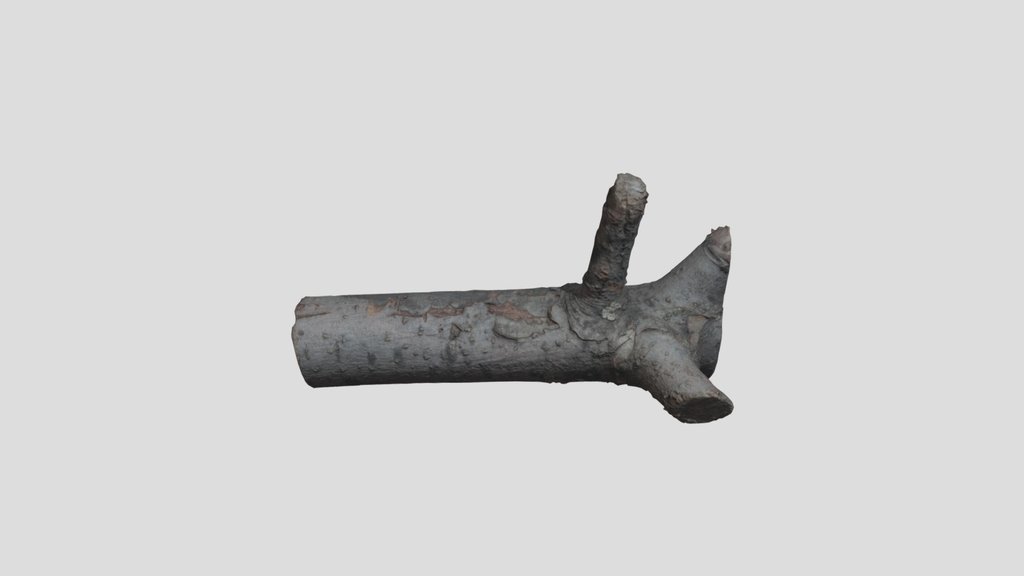Firewood Scan