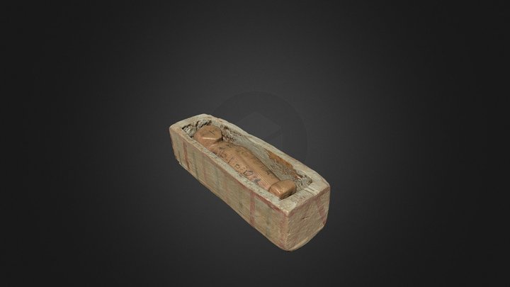 Usjt 3D models - Sketchfab