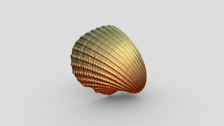 Shell – Free 3D Model STL