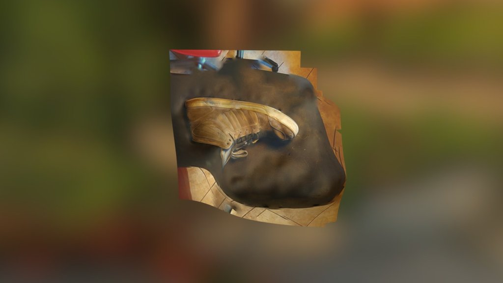 shoe1