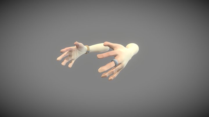 Stylized first person arms 3D Model