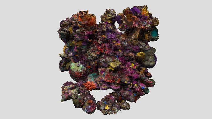 Emberdrop - coral – Kostenloses 3D-Modell STL