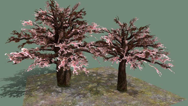 Sakura Trees – Free 3D Model STL