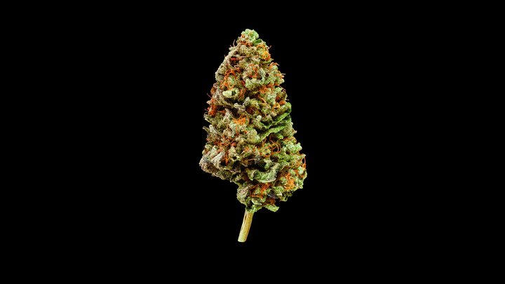 ELB — Cannabis Model 3D Model
