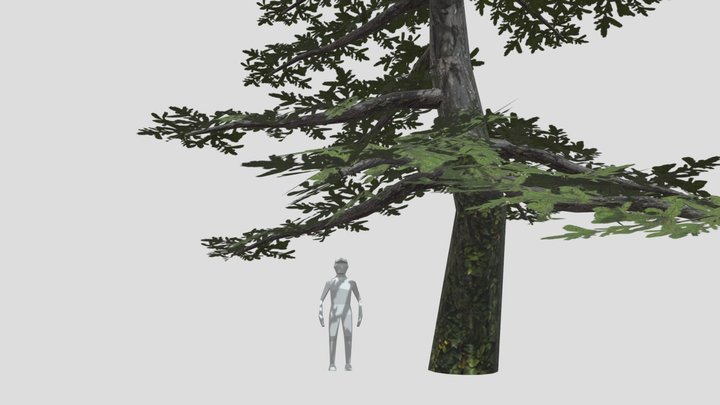 tree 3D Model