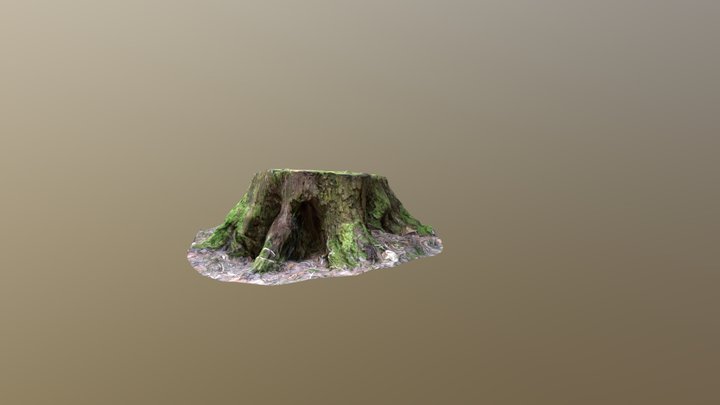 Stump01 3D Model