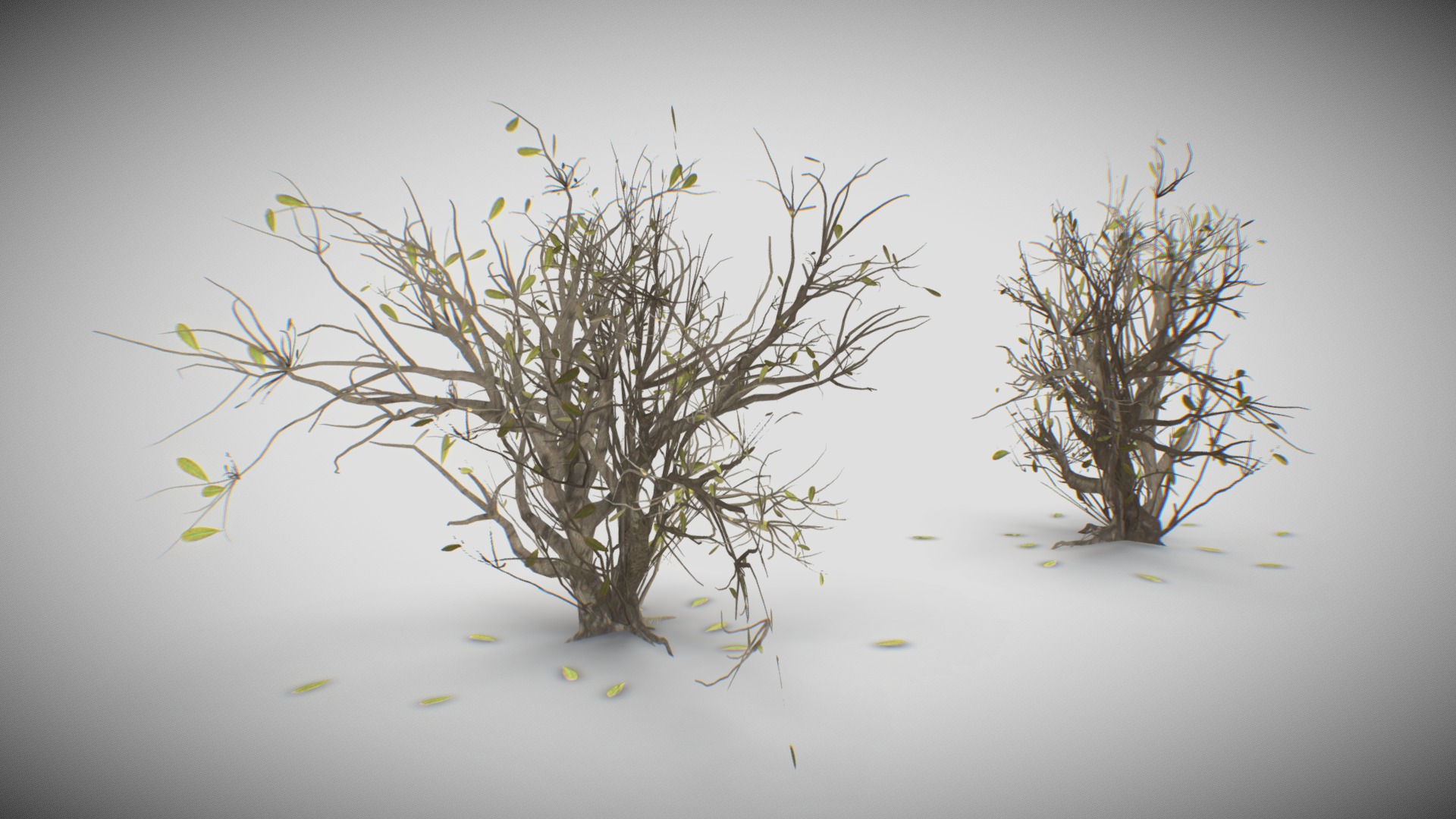 3D model Dead Bush - This is a 3D model of the Dead Bush. The 3D model is about a group of plants in water.
