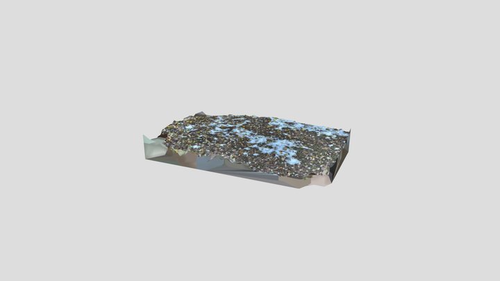 SnowyGround 3D Model