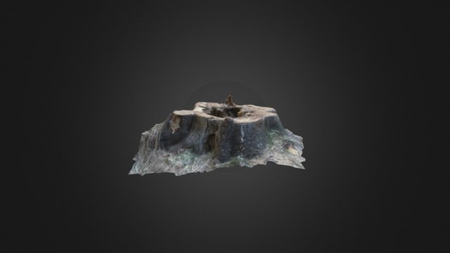 Rotten stump 3D Model