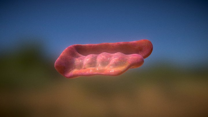 Organic Tissue 3D Model