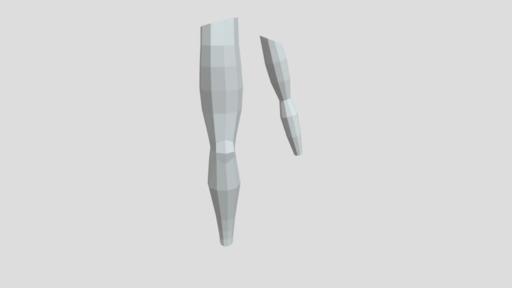 Arm And A Leg 3D Model