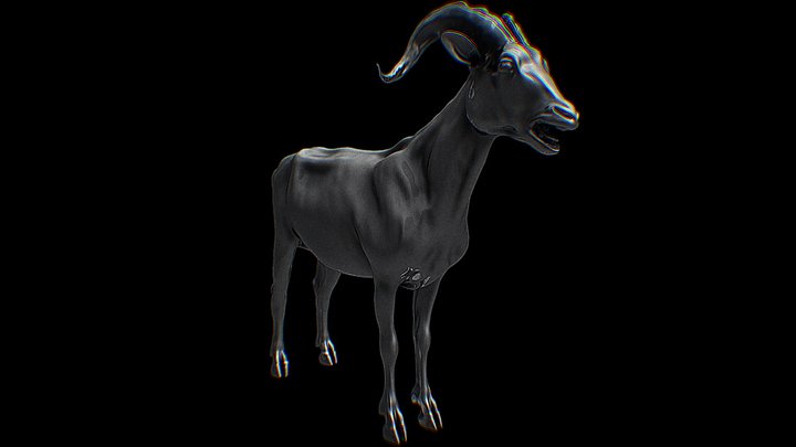Goat Model