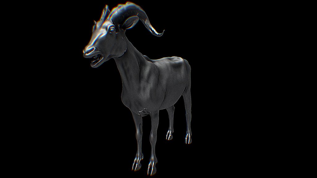 Goat Model